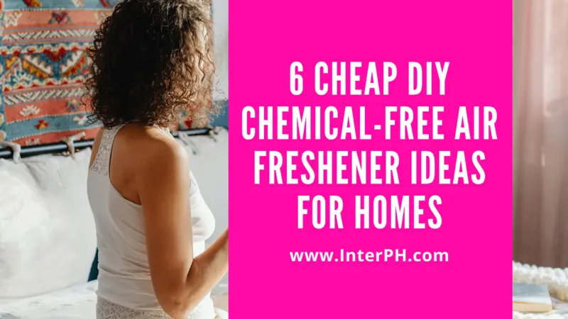 6 Cheap DIY Chemical-Free Air Freshener Ideas for Homes